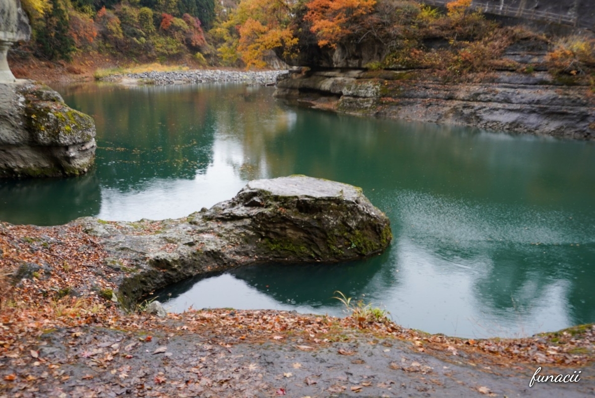 f:id:blkataritai:20201114205433j:plain