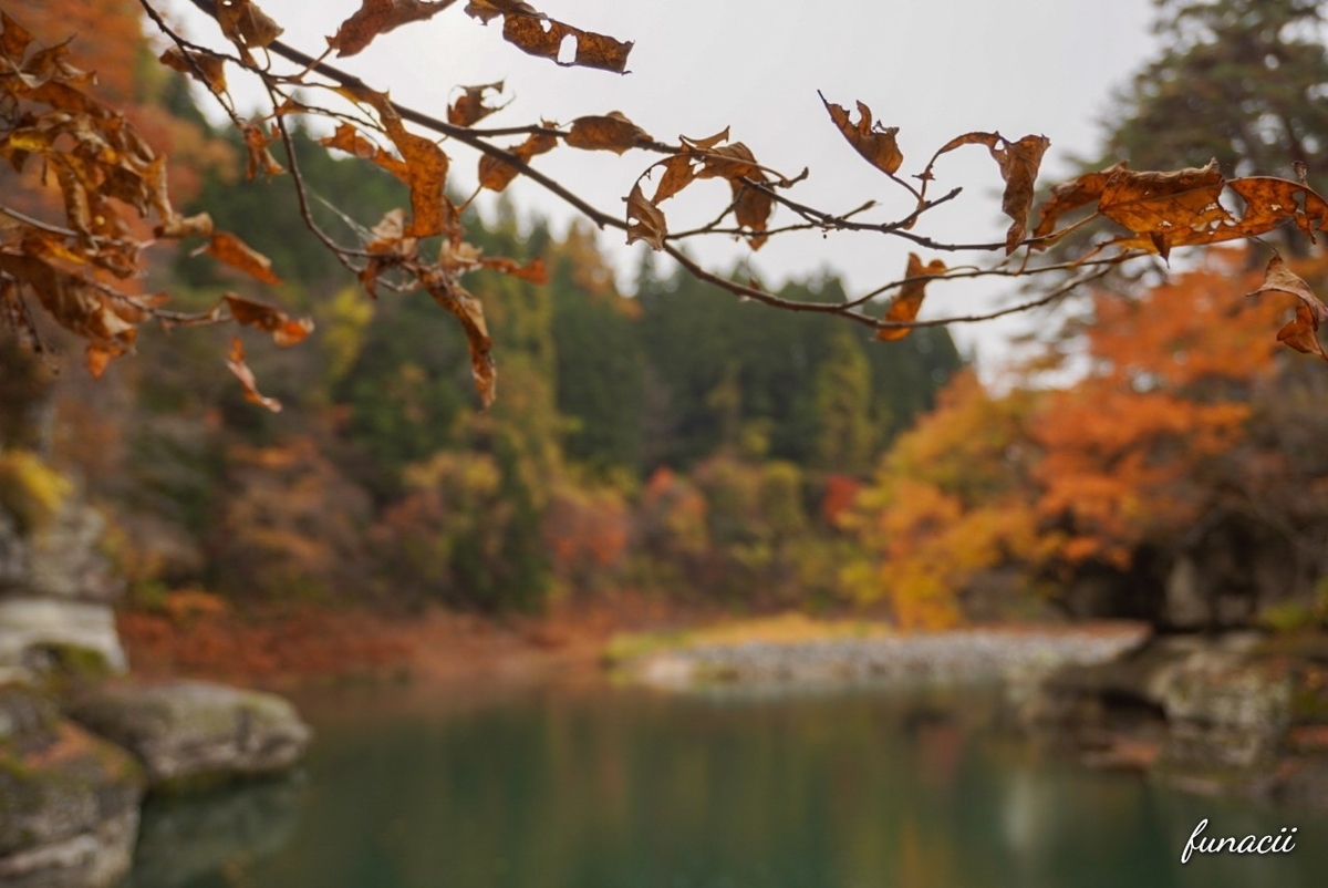 f:id:blkataritai:20201114205516j:plain