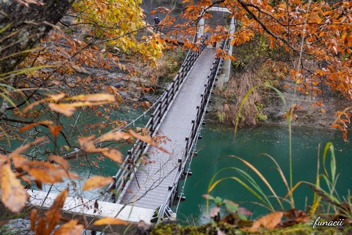 f:id:blkataritai:20201114205929j:plain