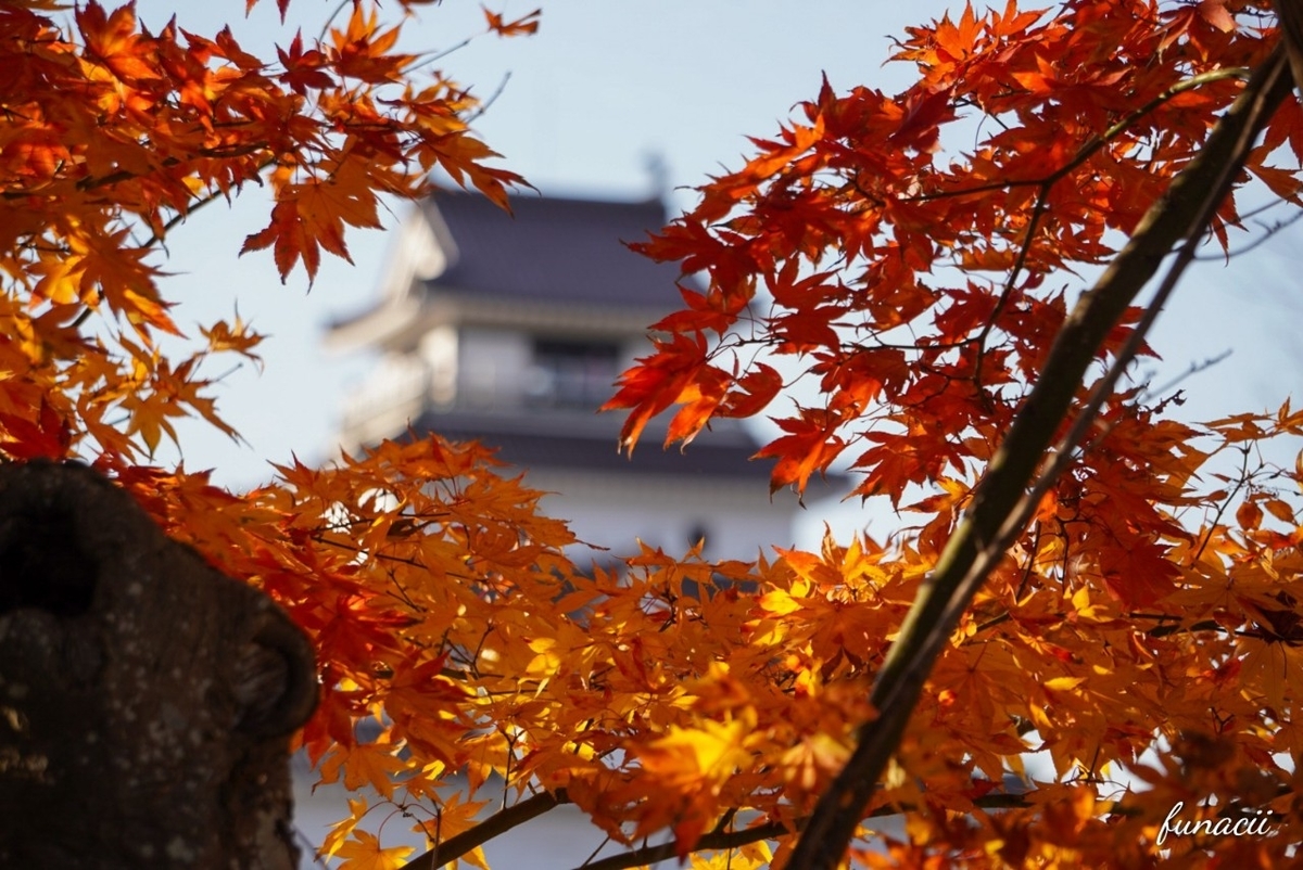f:id:blkataritai:20201201224408j:plain