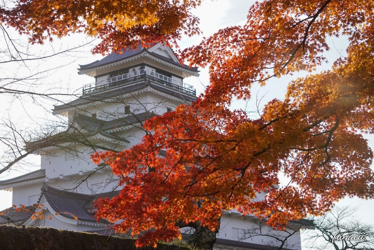 f:id:blkataritai:20201201224737j:plain