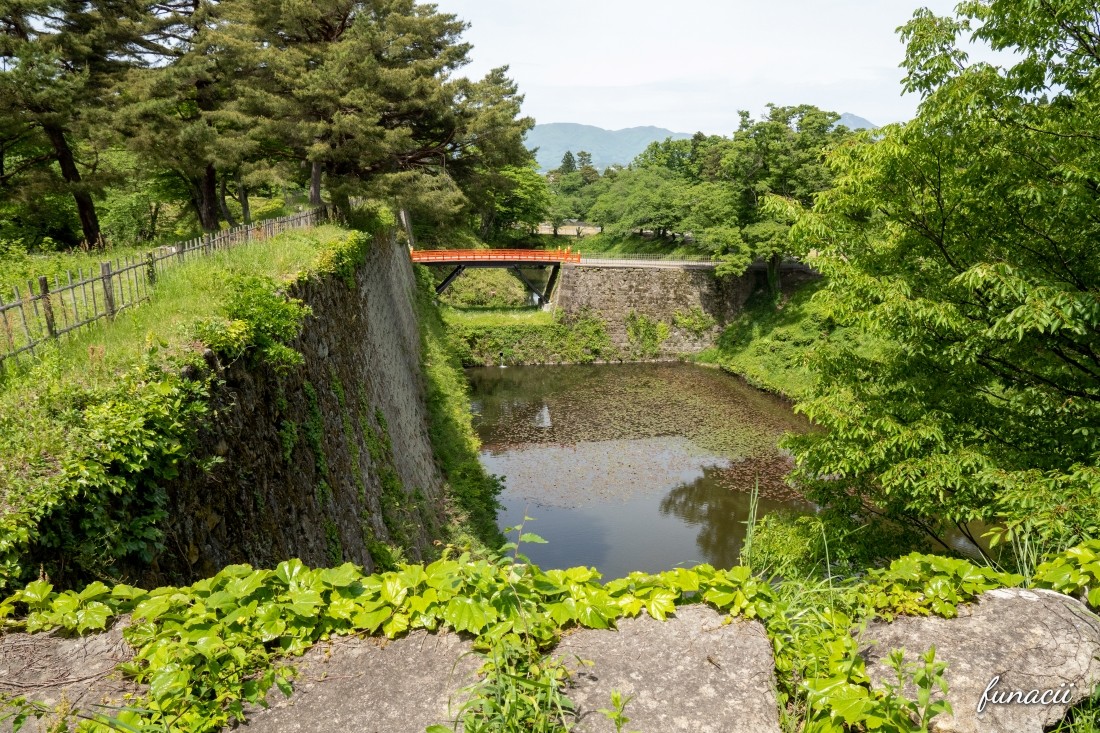 写真で観光】深緑の会津鶴ヶ城、散歩写真とちょっとした松ぼっくりの