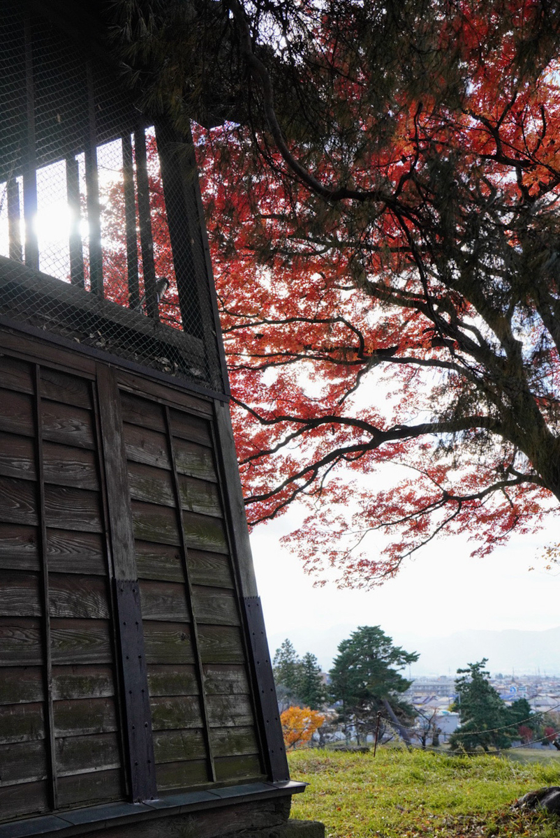 紅葉の鐘撞堂と後方に広がる街が良い雰囲気