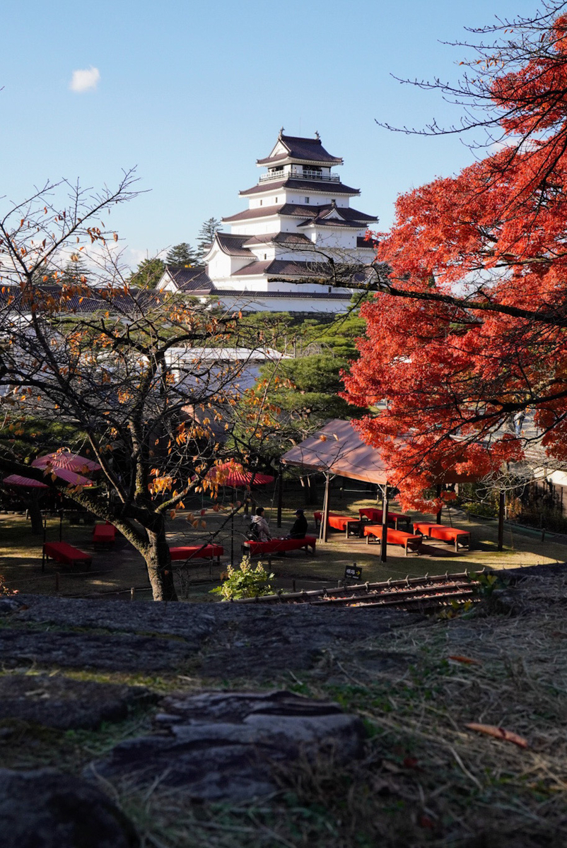 櫓跡近くお茶室の上あたりから撮った紅葉と鶴ヶ城