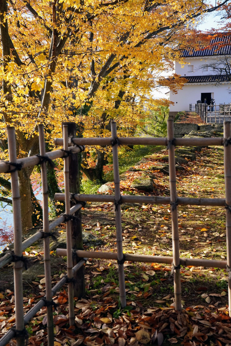 紅葉の落ち葉と南走り長屋の出口が良い雰囲気