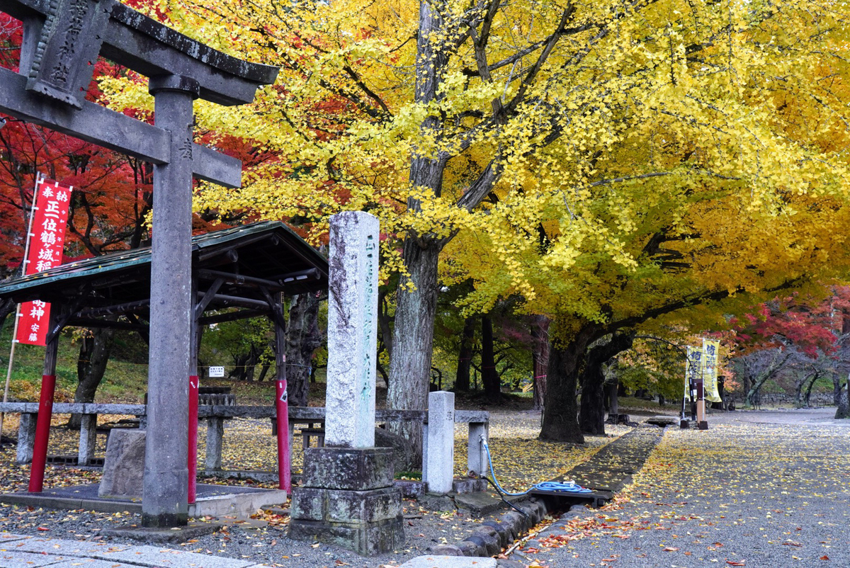 鶴ヶ城稲荷神社の紅葉が美しすぎる