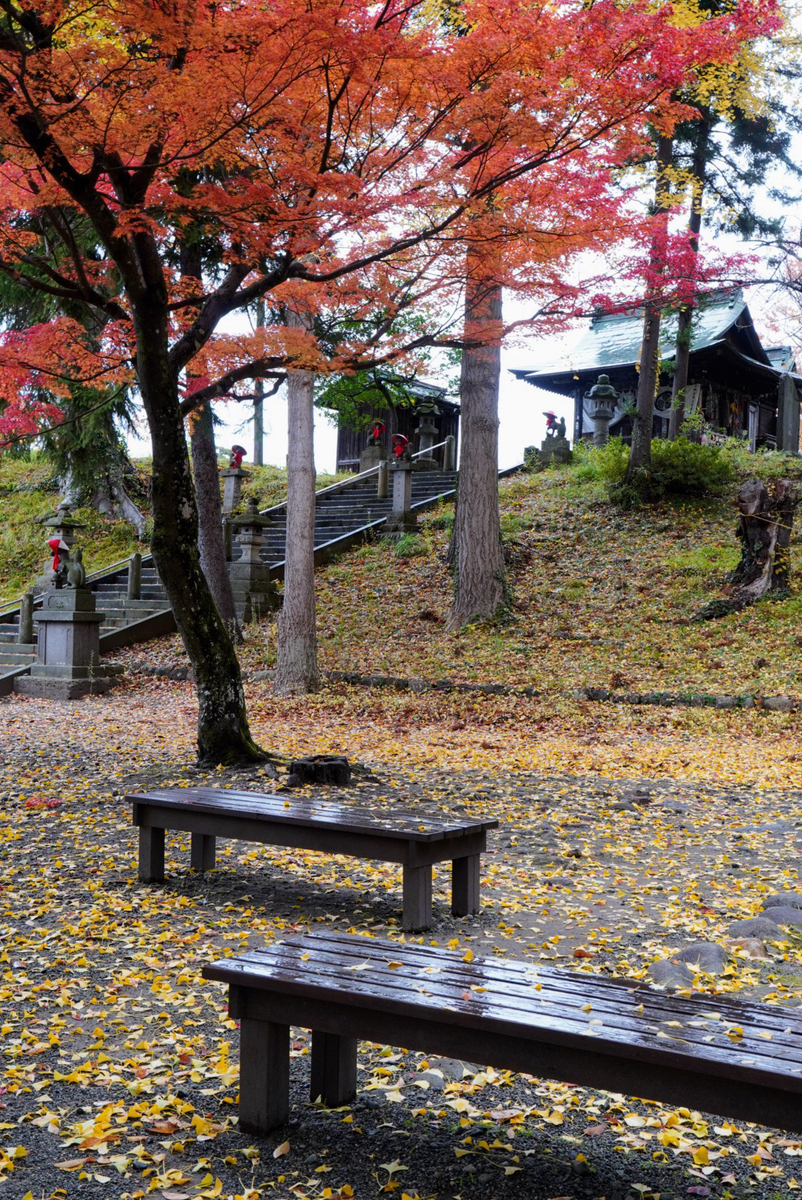 雨に濡れた鶴ヶ城稲荷神社の紅葉が良い雰囲気