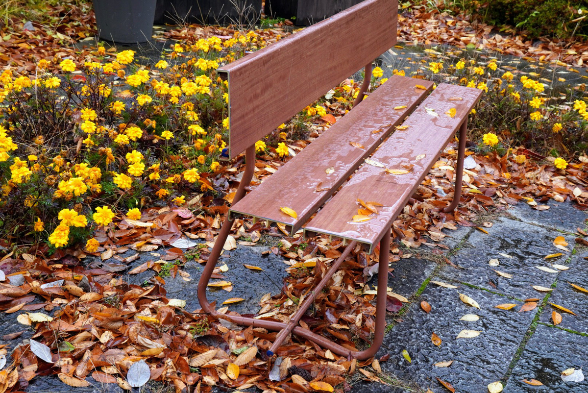 雨に濡れたベンチがいいね