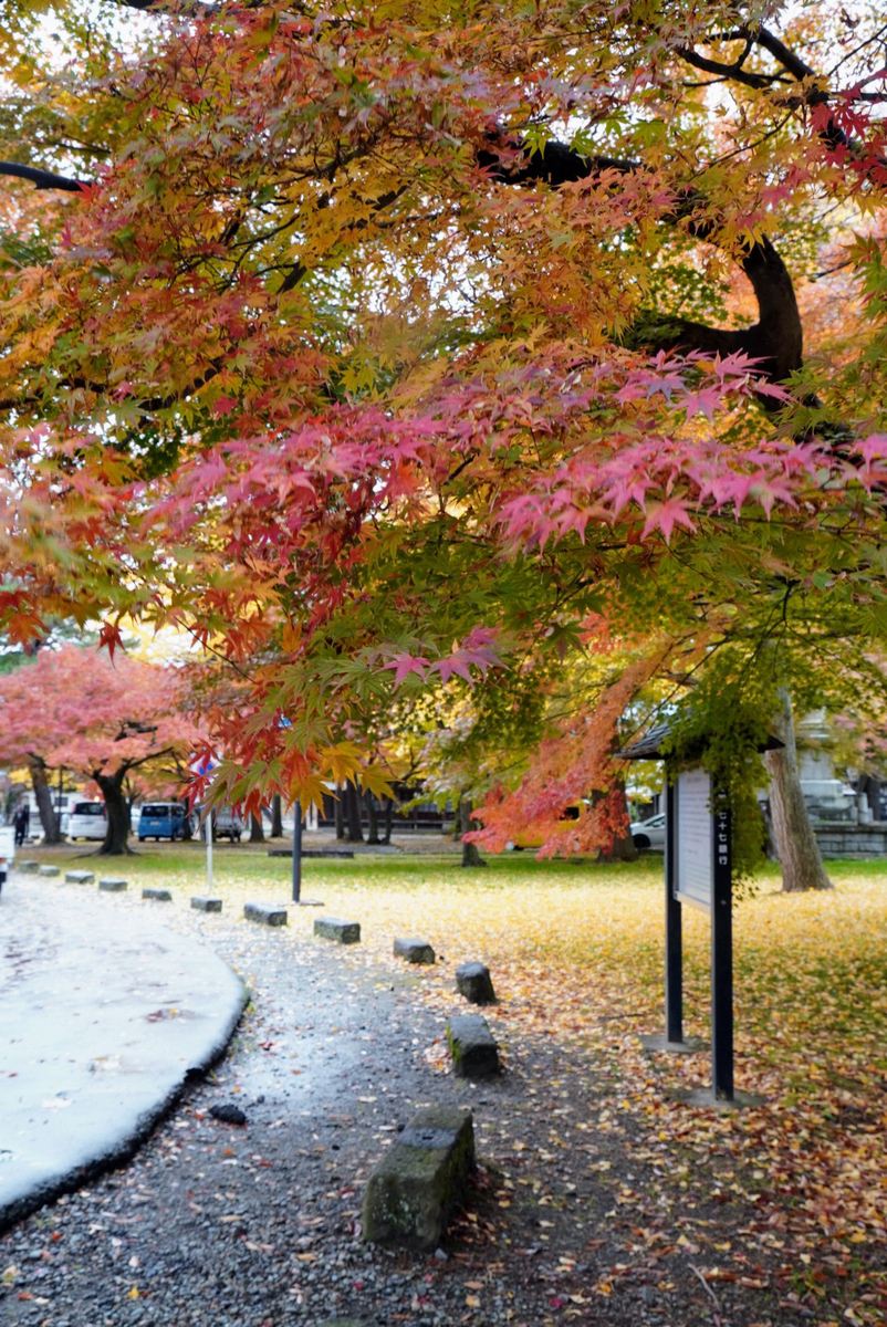 鶴ヶ城北出丸の武徳殿近くの紅葉