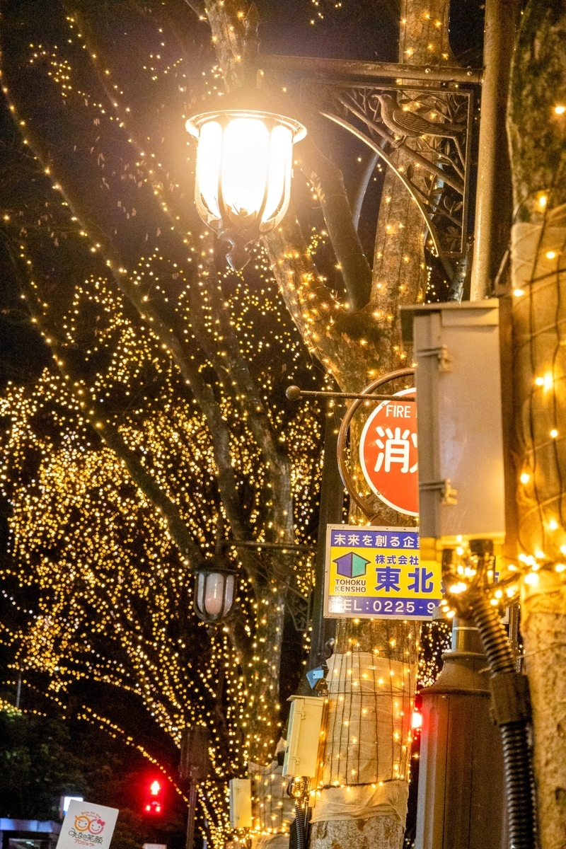 プレートを持った方に逸れないように付いて行きました笑