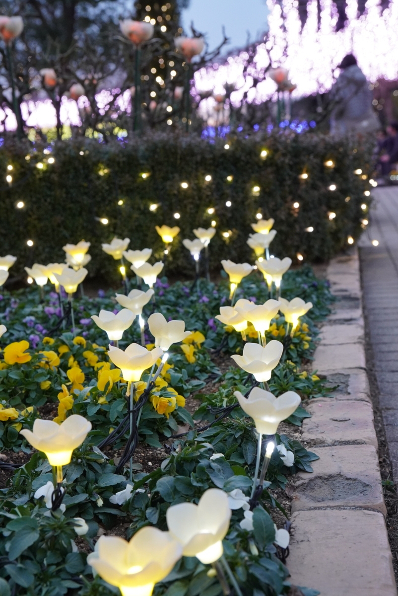 光の花が良い感じ