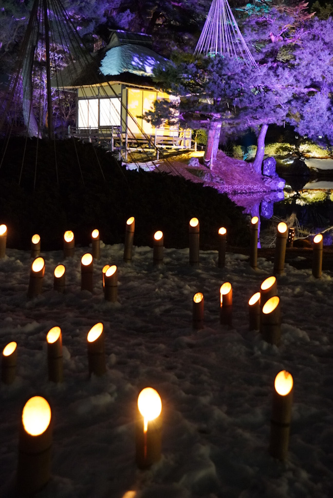 御薬園の池の中洲の楽寿亭の屋根にちょっとだけ雪が残ってるのが見える