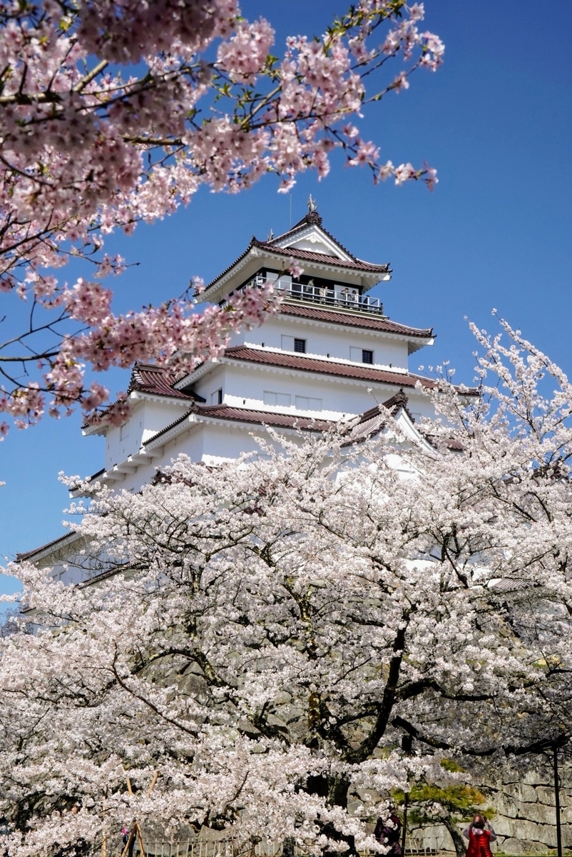 上杉謙信仮御廟の桜側から撮影した鶴ヶ城天守閣