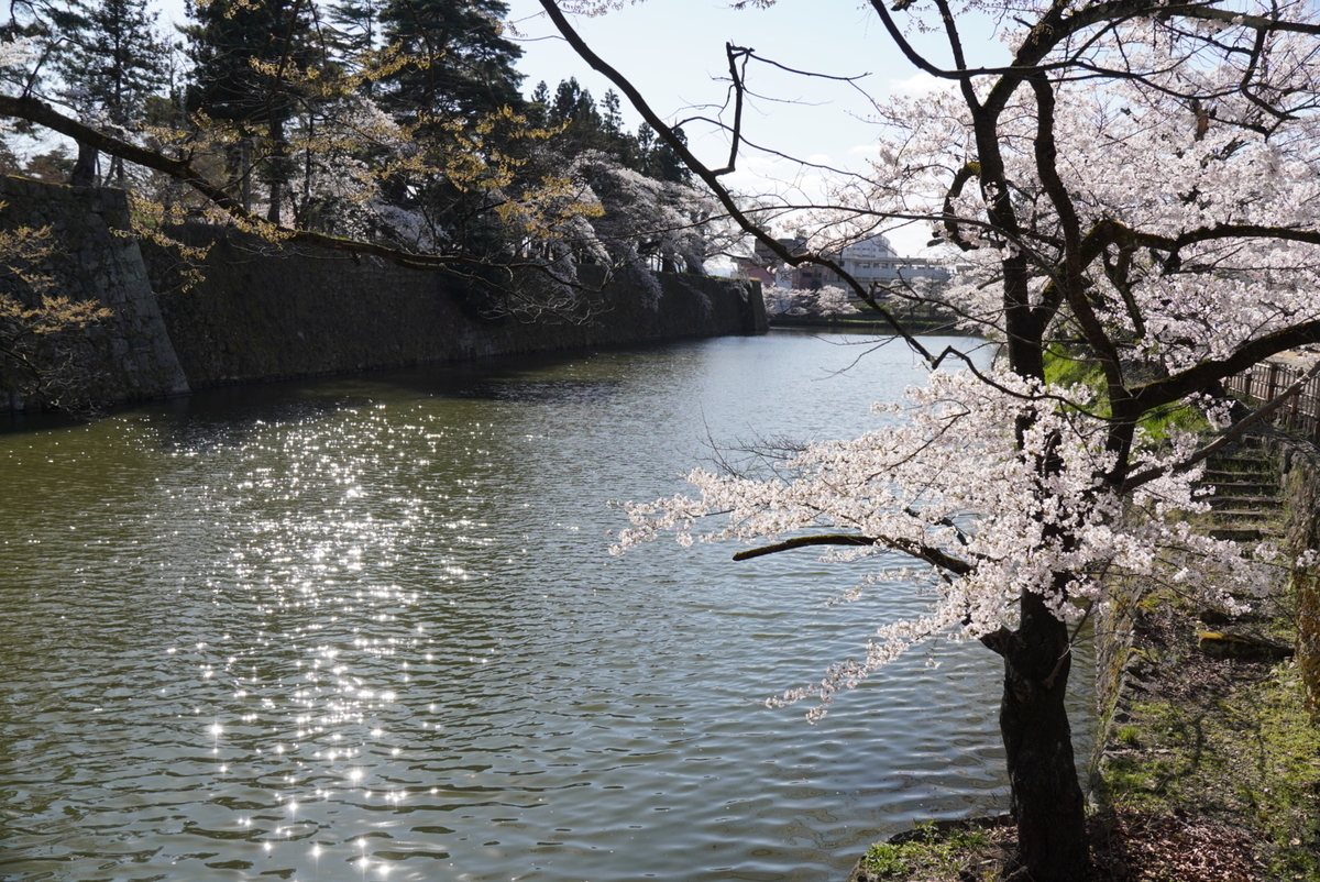 北出丸お堀の水面のきらめきが美しい