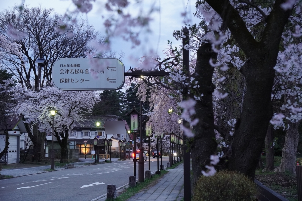 北出丸大通りの桜並木