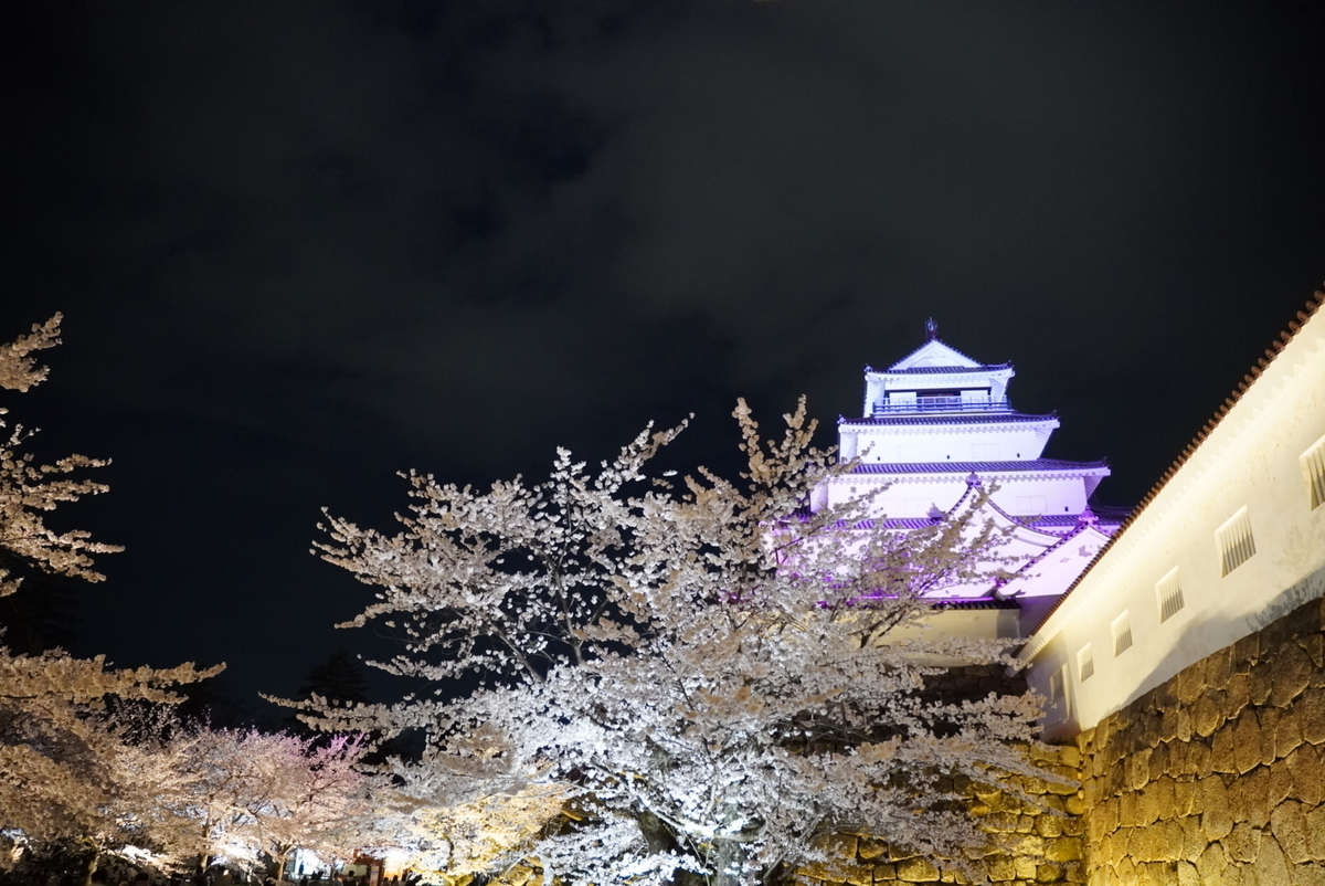 鉄門の横に立って撮影するとたくさんの桜とお城が映る