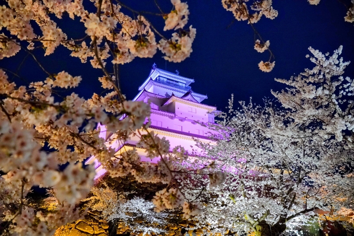 桜の木の下に入って枝の隙間からお城がいい感じに入る場所を探して👀