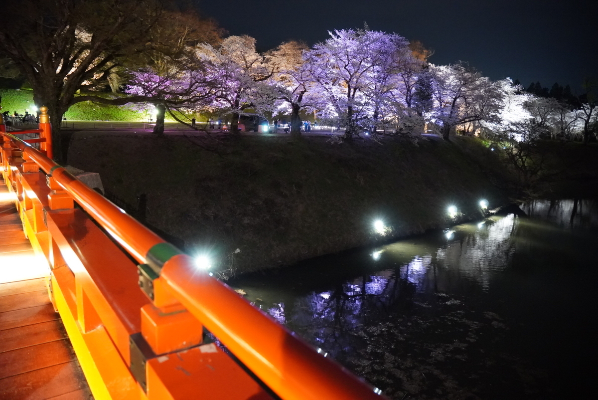 廊下橋から見た桜並木のリフレクションも定番だけど美しい