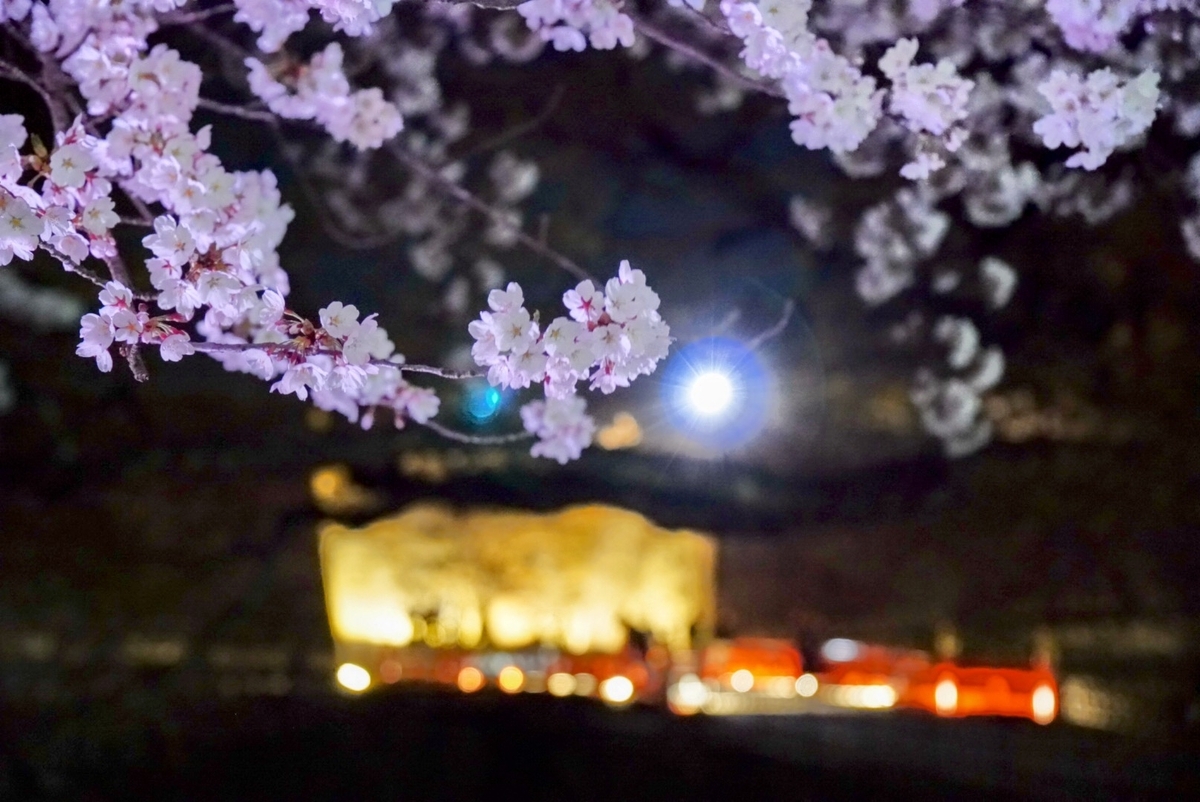 鶴ヶ城の廊下橋と桜