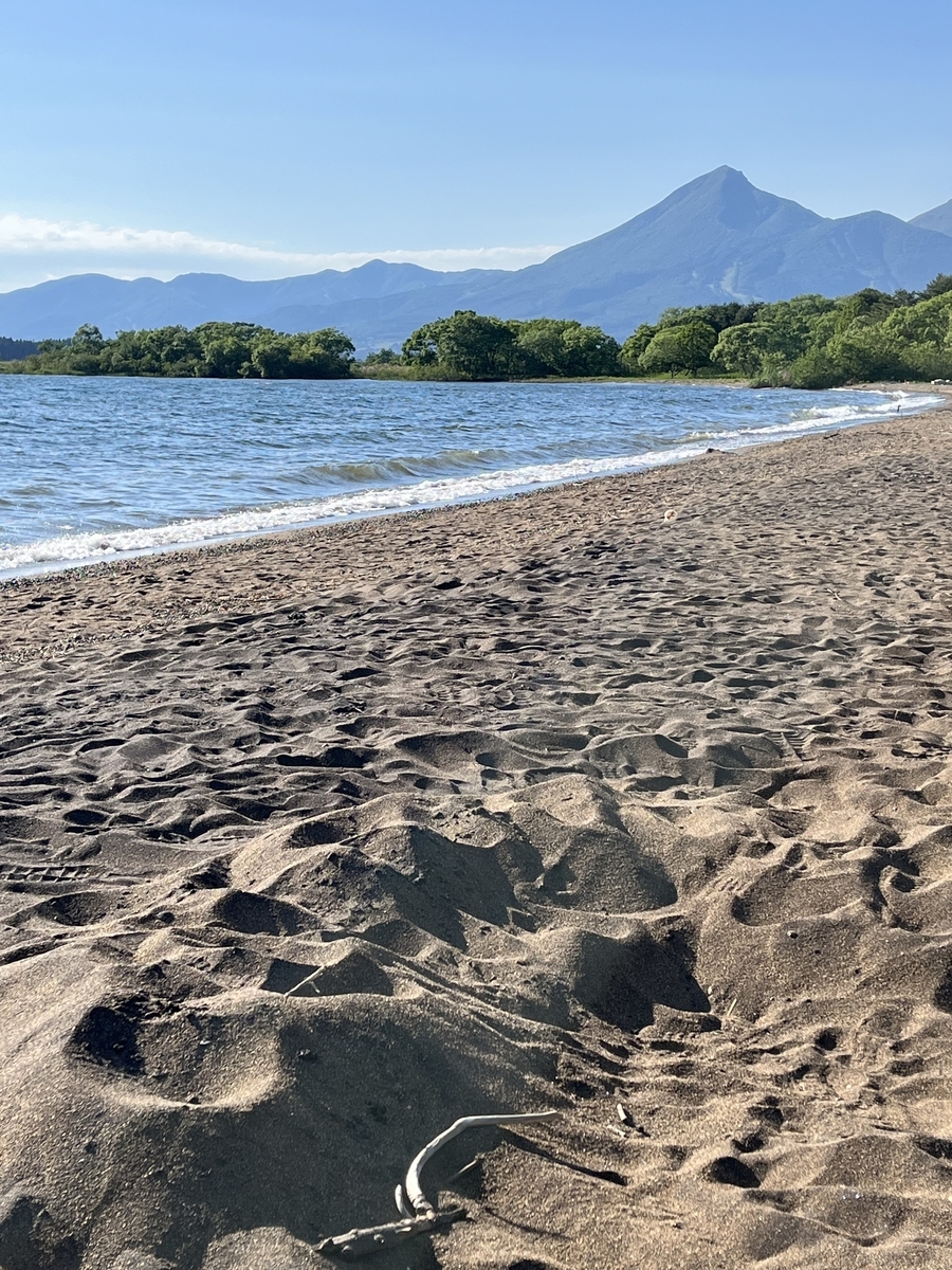 スマホを縦に構えて磐梯山と猪苗代湖志田浜のビーチを入れ込む。砂浜と湖の面積がポイント。 木の枝?も手前に配置して雰囲気を出した。