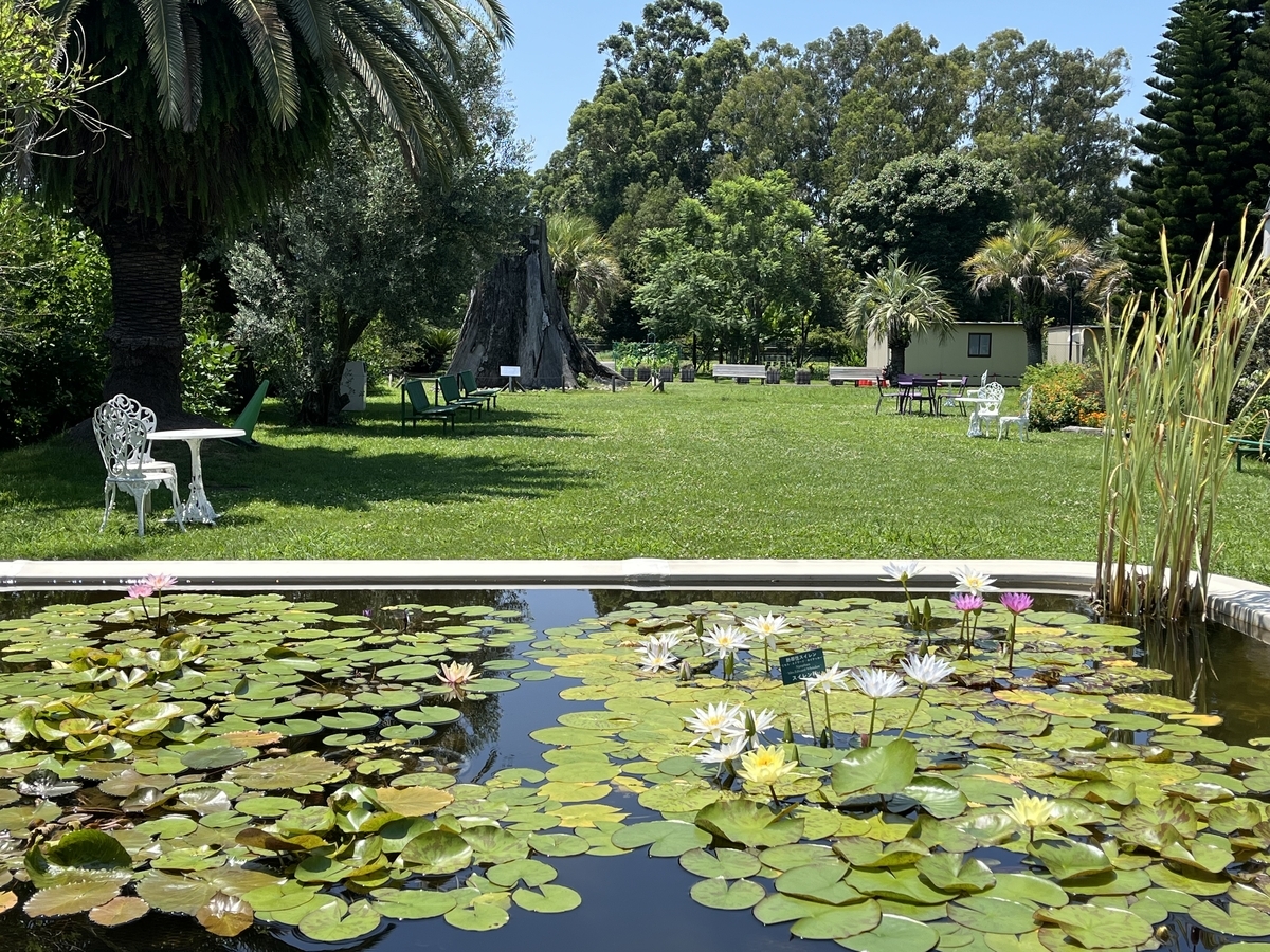 熱帯スイレンが咲く夢の島熱帯植物館の美しいガーデン。涼しい季節にゆっくり過ごしたい。