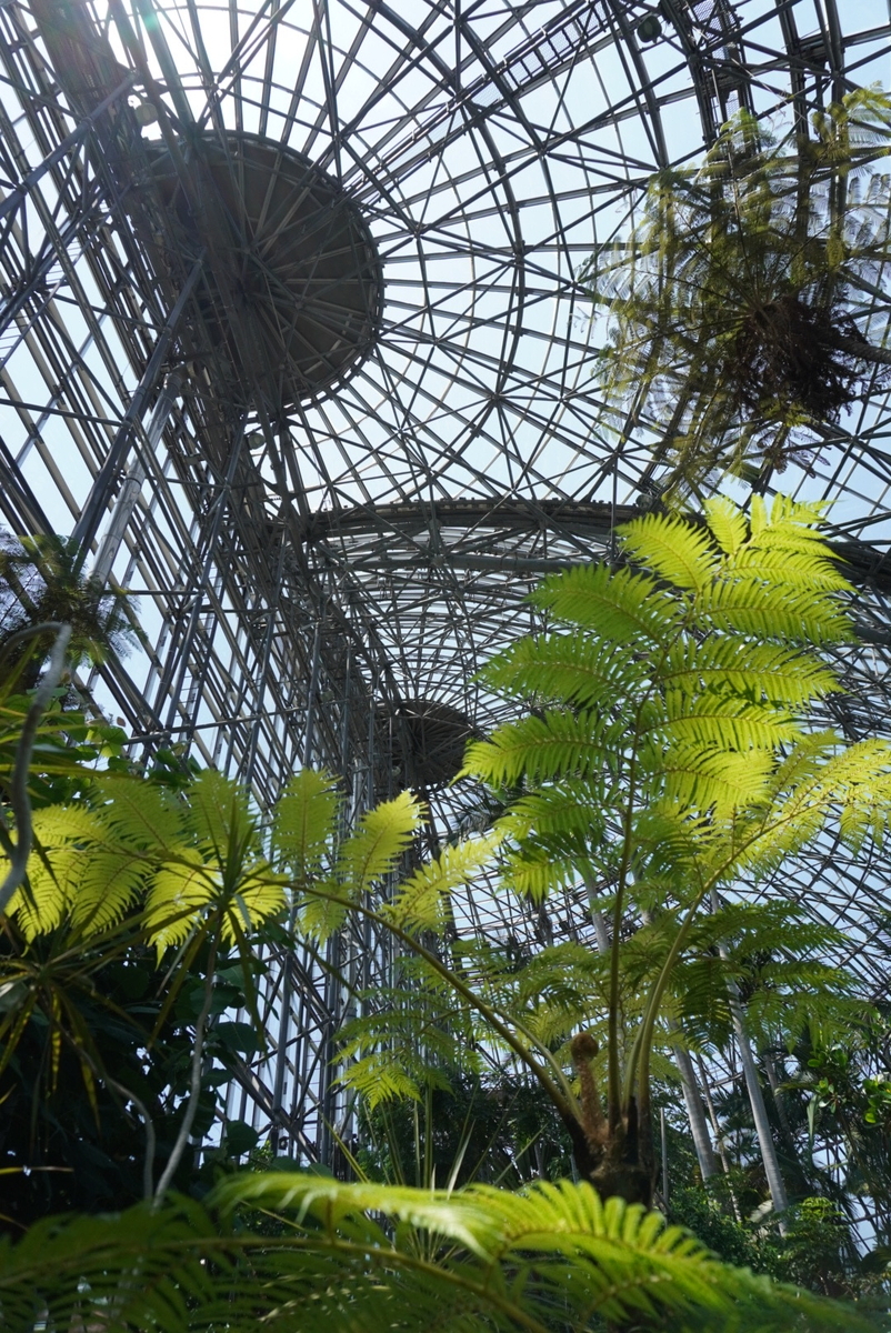 夢の島熱帯植物館の温室