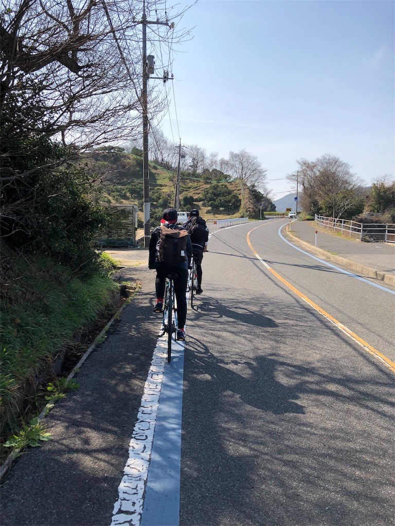 f:id:bllizzard0508:20190306175000j:image