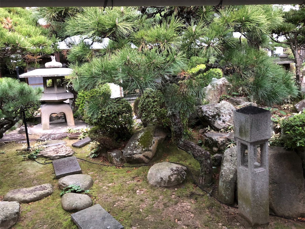 f:id:bllizzard0508:20190306213058j:image