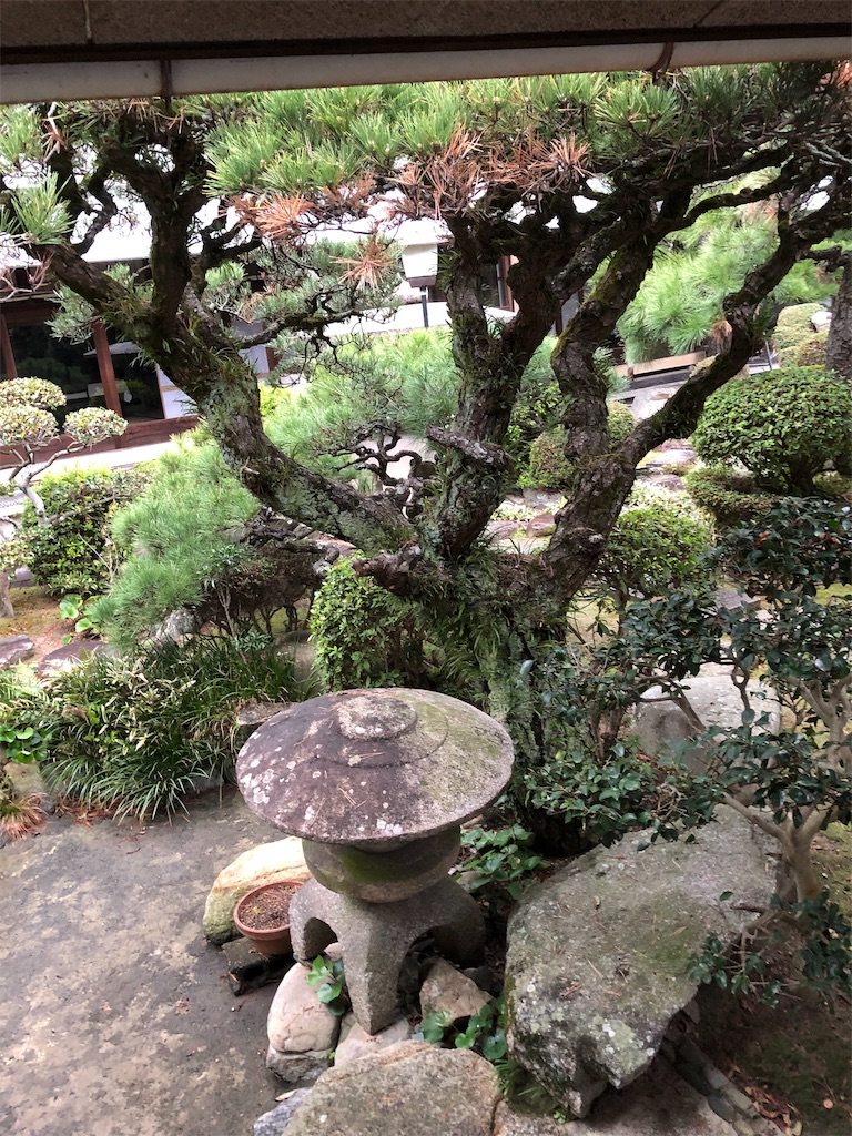 f:id:bllizzard0508:20190306213105j:image