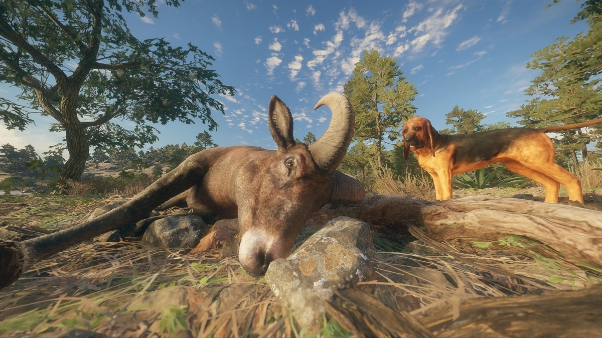 f:id:block30:20211216064628j:plain