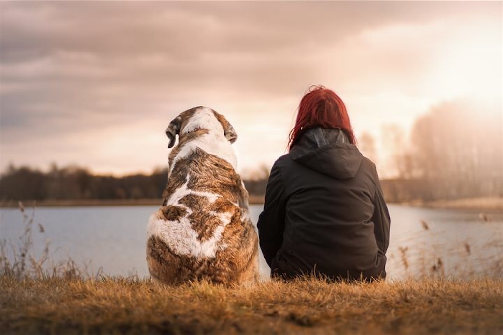 f:id:blocksugar:20190702201236j:image
