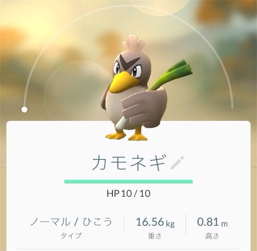 f:id:blog-japan:20160802184828j:image f:id:blog-japan:20160802184828j:image