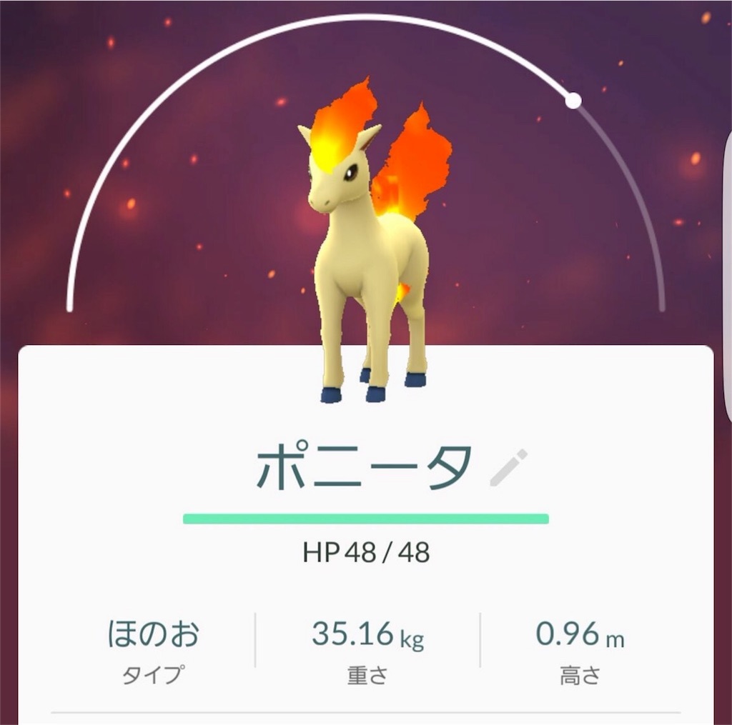 f:id:blog-japan:20160813023321j:image f:id:blog-japan:20160813023321j:image
