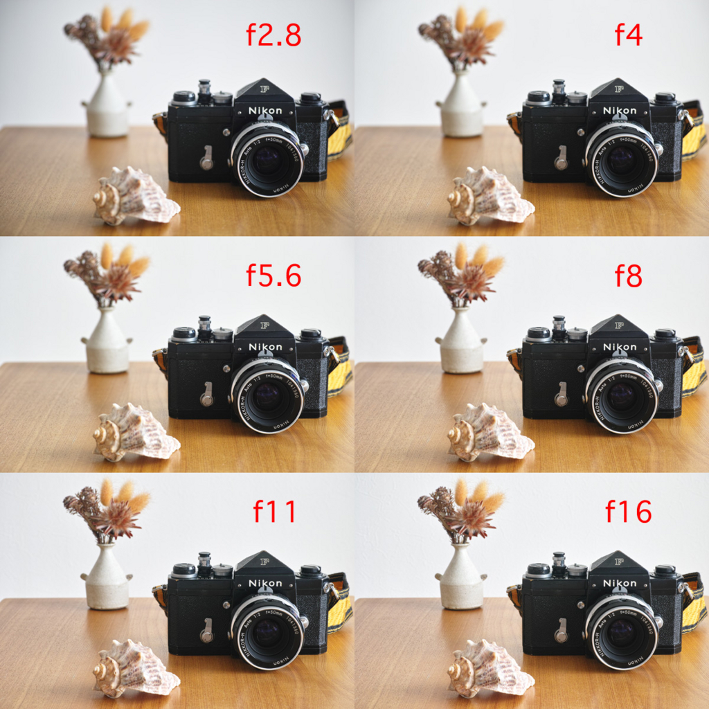 初めてのカメラの選び方 スマホよりもう少しきれいに、本格的に撮って