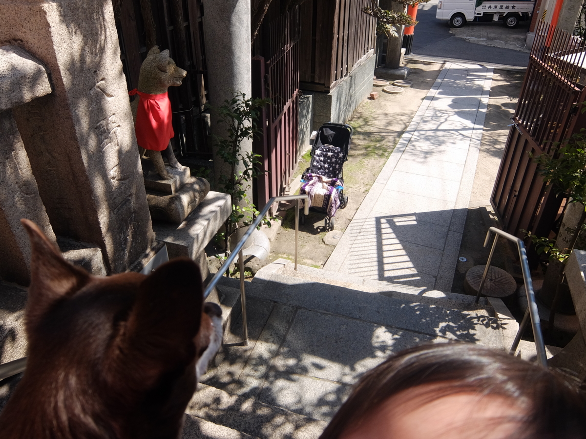 f:id:blog-media:20160322114542j:plain