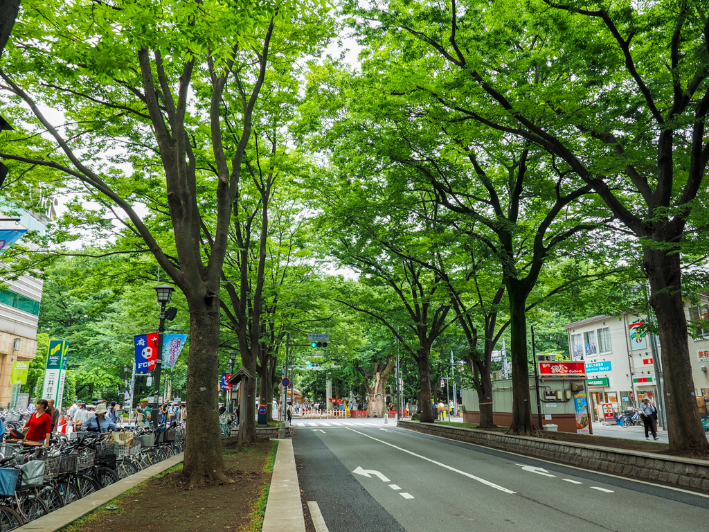 f:id:blog-media:20160603115140j:image:w1200