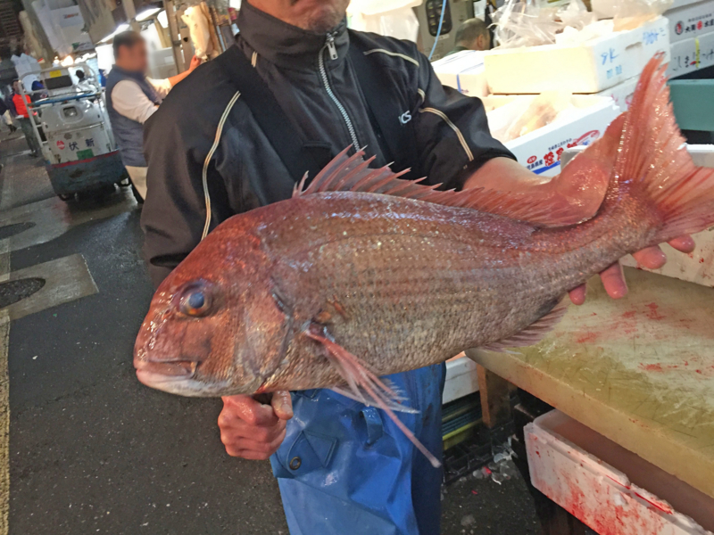 f:id:blog-media:20161121093841j:plain f:id:blog-media:20161121093841j:plain