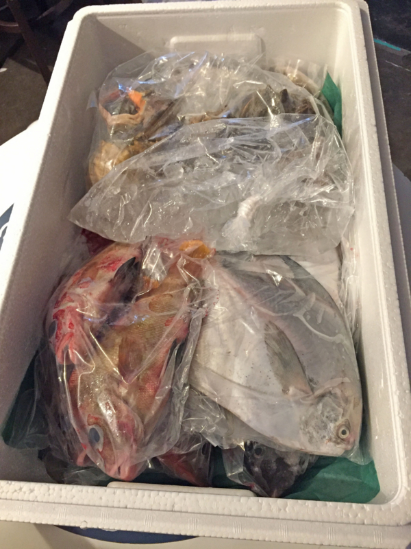 f:id:blog-media:20161121093843j:plain f:id:blog-media:20161121093843j:plain