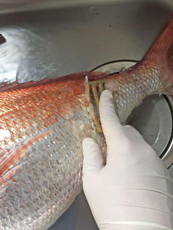 f:id:blog-media:20161121093847j:plain f:id:blog-media:20161121093847j:plain