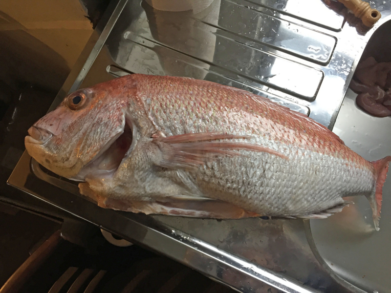 f:id:blog-media:20161121093901j:plain f:id:blog-media:20161121093901j:plain