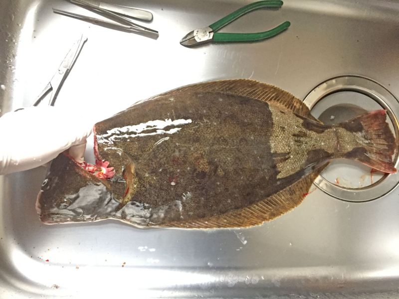 f:id:blog-media:20161121093919j:plain f:id:blog-media:20161121093919j:plain