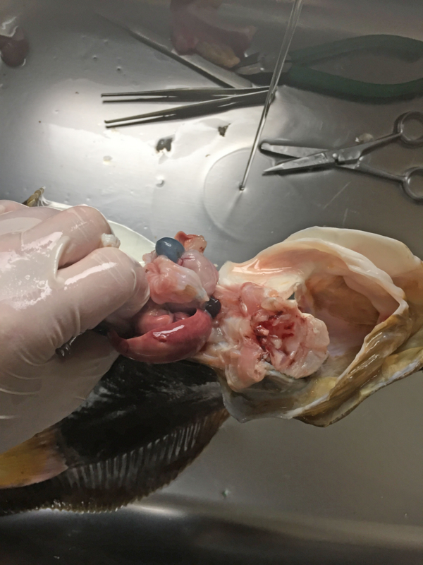 f:id:blog-media:20161121093921j:plain f:id:blog-media:20161121093921j:plain