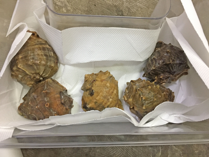 f:id:blog-media:20161121093926j:plain f:id:blog-media:20161121093926j:plain