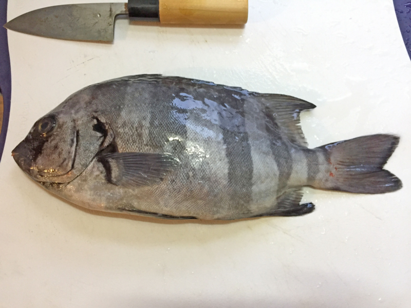 f:id:blog-media:20161121093928j:plain f:id:blog-media:20161121093928j:plain