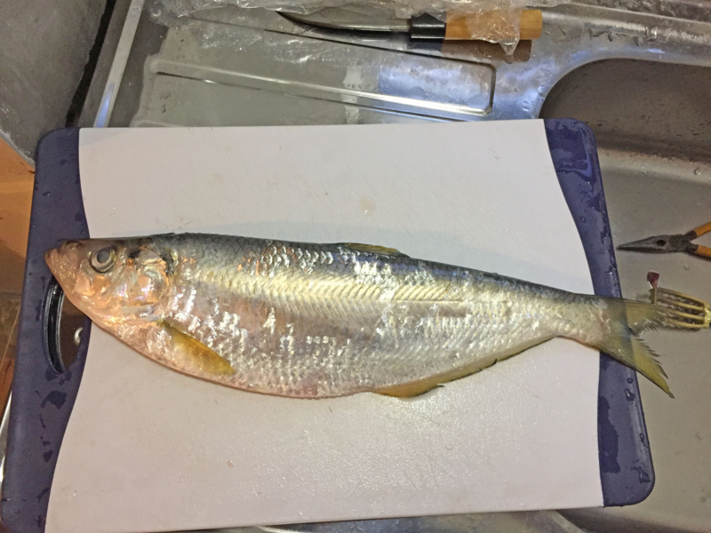 f:id:blog-media:20161121093933j:plain f:id:blog-media:20161121093933j:plain