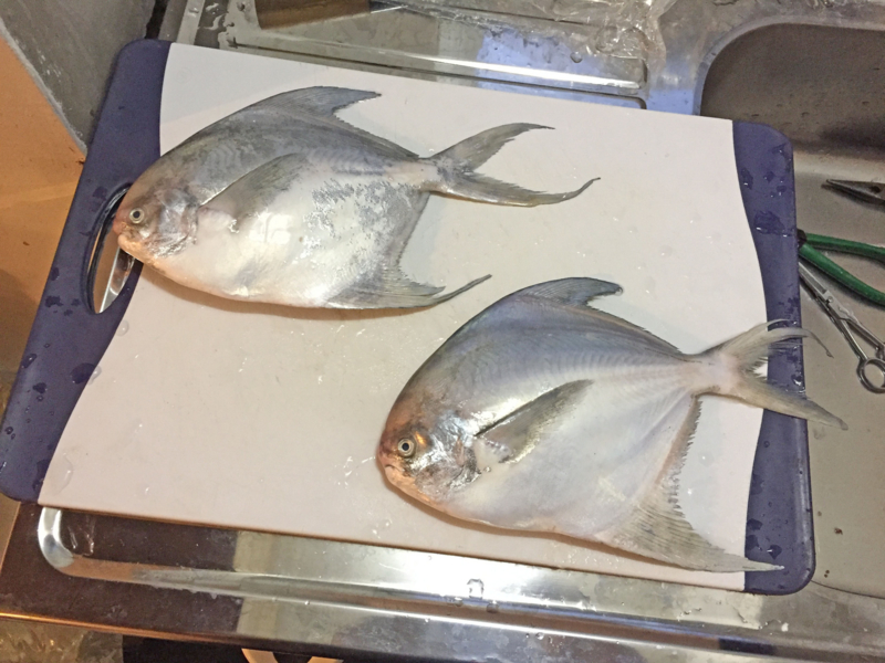 f:id:blog-media:20161121093939j:plain f:id:blog-media:20161121093939j:plain