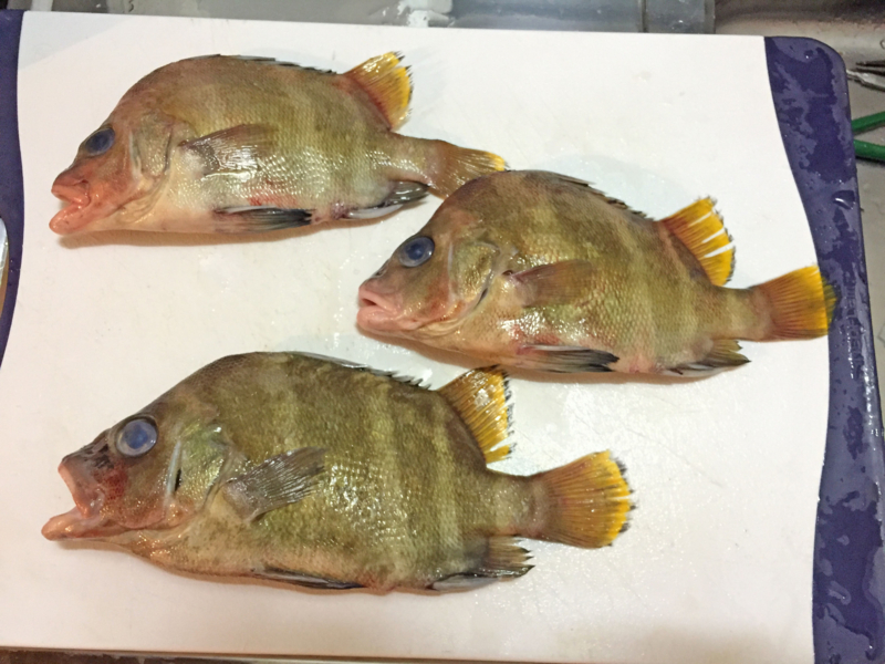 f:id:blog-media:20161121093940j:plain f:id:blog-media:20161121093940j:plain