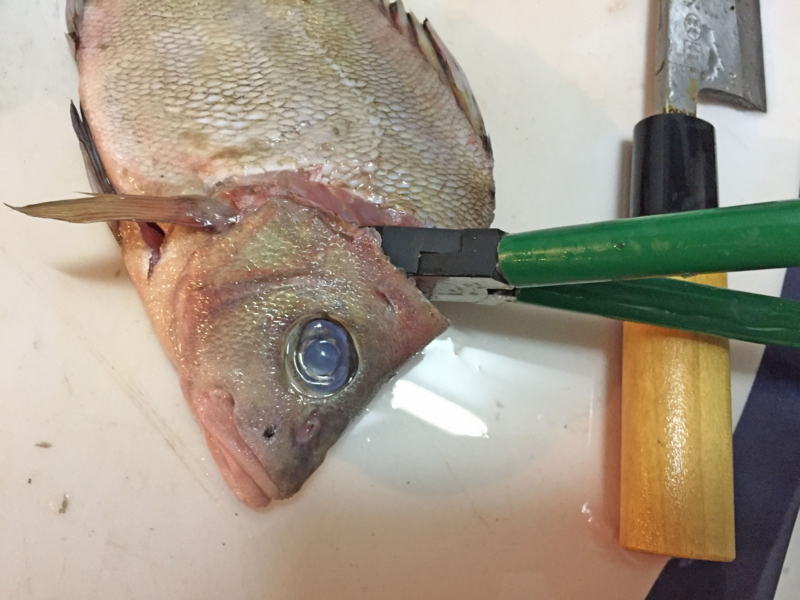 f:id:blog-media:20161121093942j:plain f:id:blog-media:20161121093942j:plain