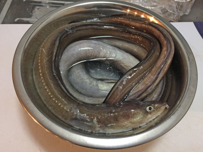 f:id:blog-media:20161121093950j:plain f:id:blog-media:20161121093950j:plain