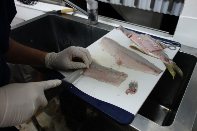 f:id:blog-media:20161121093955j:plain f:id:blog-media:20161121093955j:plain